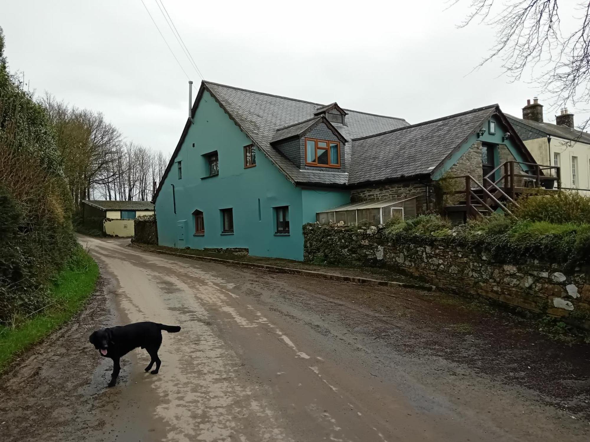Robins Nest Appartement Liskeard Buitenkant foto